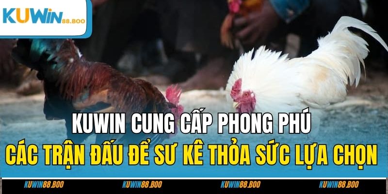 KUWIN cung cấp phong phú các trận đấu để người chơi thỏa sức lựa chọn