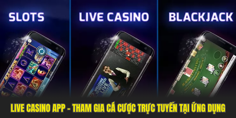 Hướng Dẫn Kuwin - Cẩm Nang Kiến Thức Cá Độ Cho Thành Viên